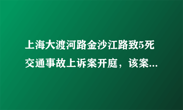 上海大渡河路金沙江路致5死交通事故上诉案开庭，该案件哪些信息值得关注？