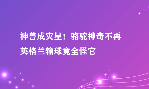 神兽成灾星！骆驼神奇不再 英格兰输球竟全怪它