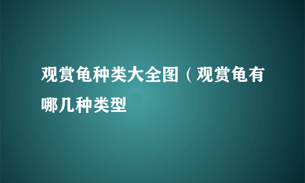 观赏龟种类大全图（观赏龟有哪几种类型