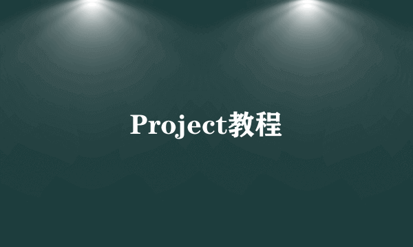 Project教程