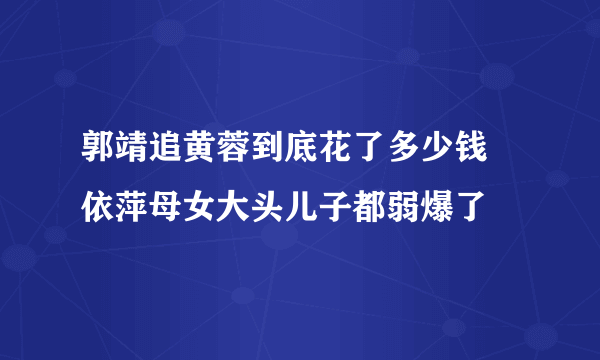 郭靖追黄蓉到底花了多少钱 依萍母女大头儿子都弱爆了