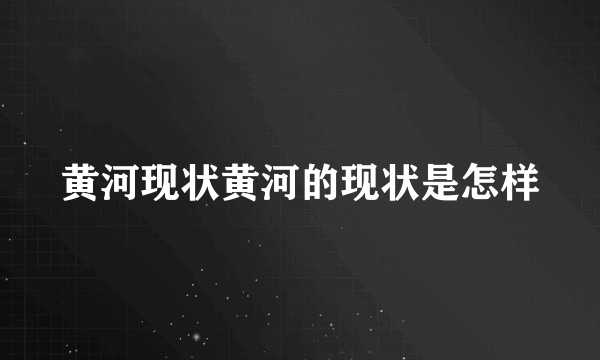 黄河现状黄河的现状是怎样