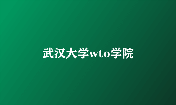 武汉大学wto学院