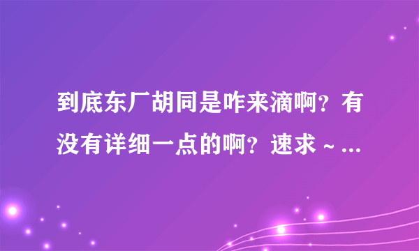 到底东厂胡同是咋来滴啊？有没有详细一点的啊？速求～越快越好！‘