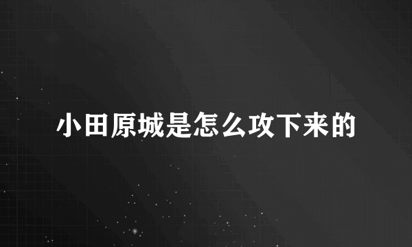 小田原城是怎么攻下来的