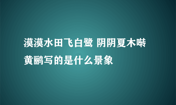 漠漠水田飞白鹭 阴阴夏木啭黄鹂写的是什么景象