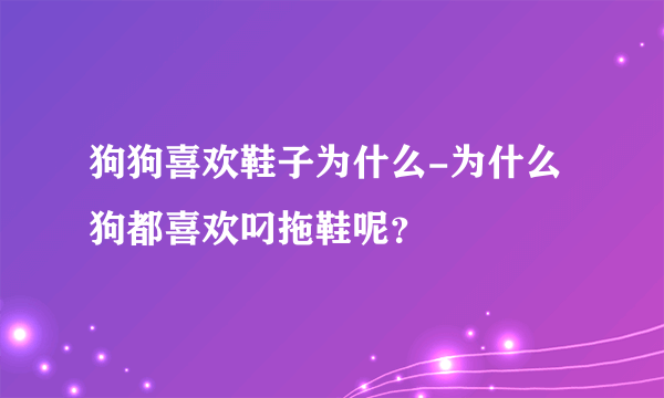 狗狗喜欢鞋子为什么-为什么狗都喜欢叼拖鞋呢？