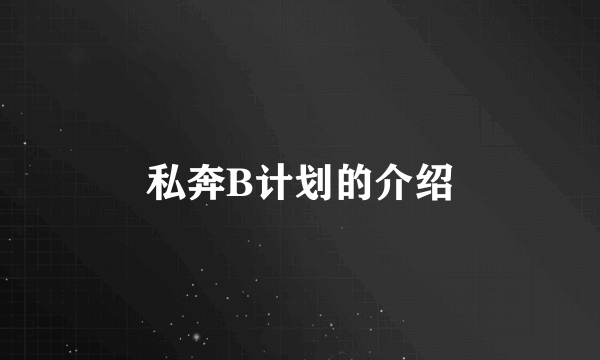 私奔B计划的介绍