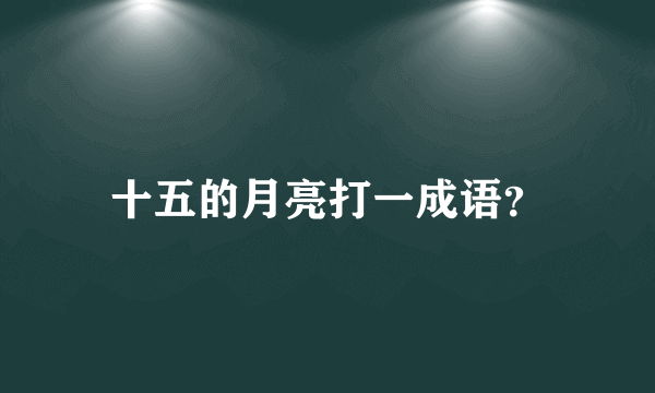 十五的月亮打一成语？