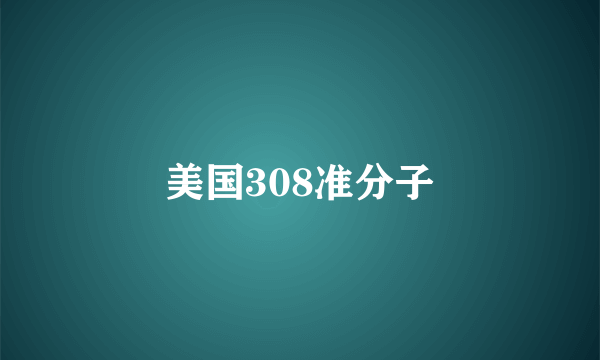 美国308准分子