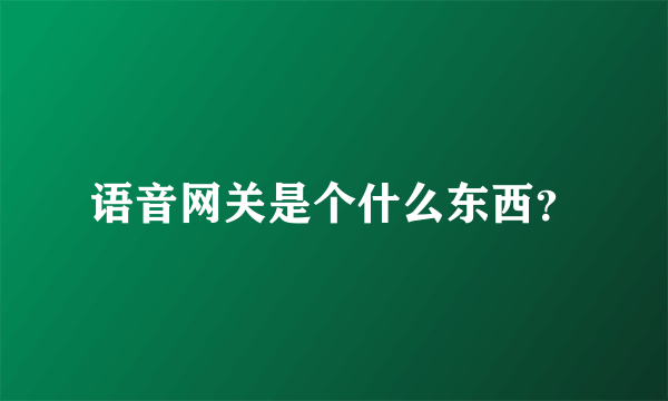 语音网关是个什么东西？