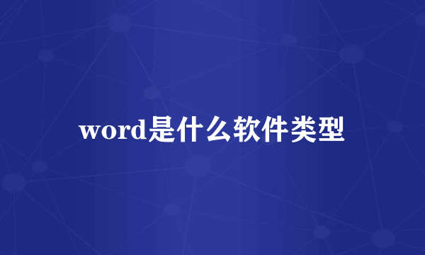 word是什么软件类型