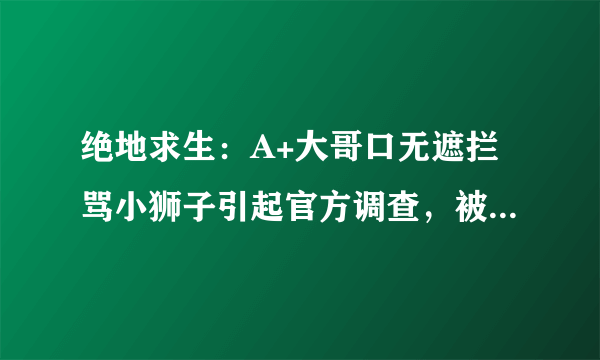 绝地求生：A+大哥口无遮拦骂小狮子引起官方调查，被严肃处理，如何评价？