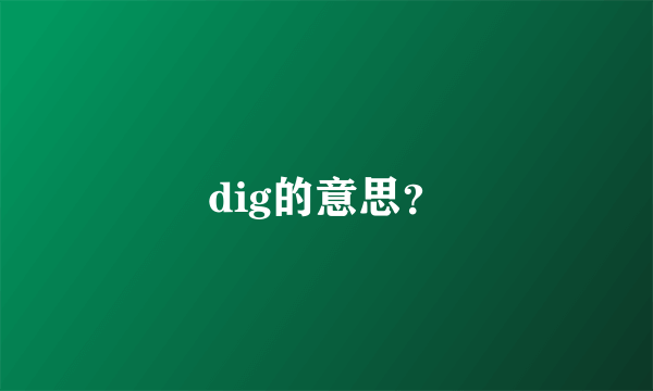 dig的意思？