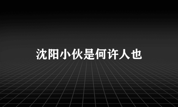 沈阳小伙是何许人也