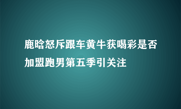 鹿晗怒斥跟车黄牛获喝彩是否加盟跑男第五季引关注