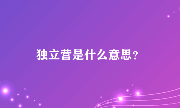 独立营是什么意思？