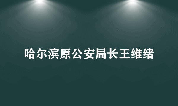 哈尔滨原公安局长王维绪