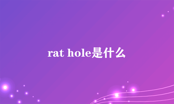 rat hole是什么