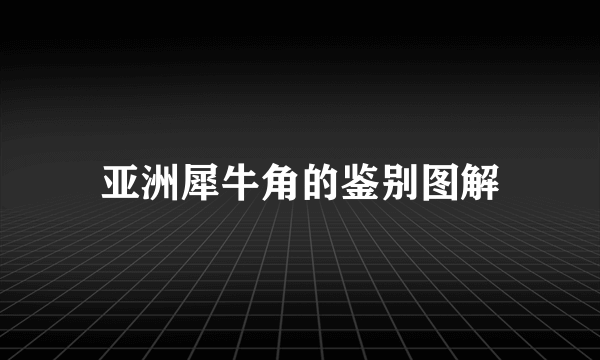 亚洲犀牛角的鉴别图解