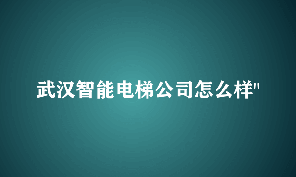 武汉智能电梯公司怎么样