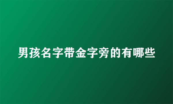 男孩名字带金字旁的有哪些