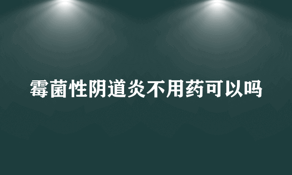 霉菌性阴道炎不用药可以吗