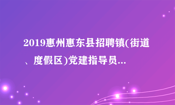 2019惠州惠东县招聘镇(街道、度假区)党建指导员63人职位表下载