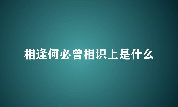 相逢何必曾相识上是什么