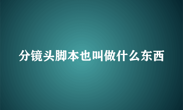 分镜头脚本也叫做什么东西