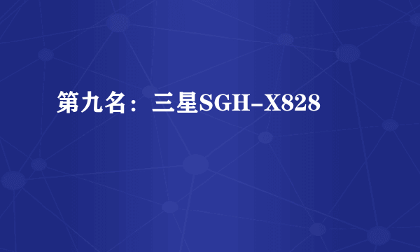 第九名：三星SGH-X828