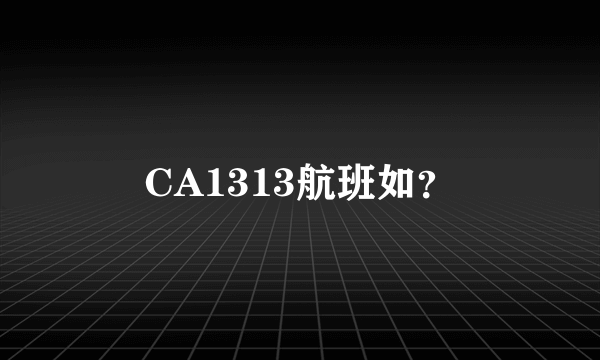 CA1313航班如？