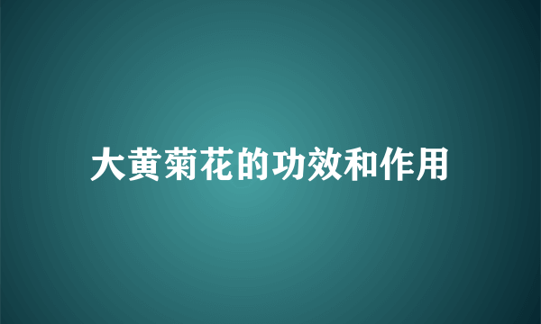 大黄菊花的功效和作用