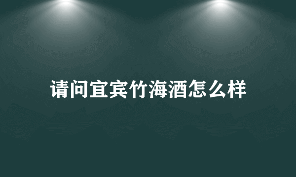 请问宜宾竹海酒怎么样