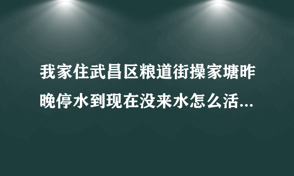 我家住武昌区粮道街操家塘昨晚停水到现在没来水怎么活呀,什么时候来啊？