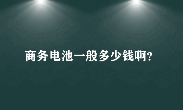 商务电池一般多少钱啊？