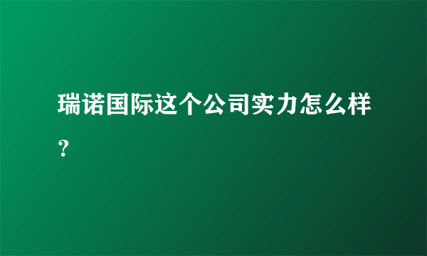 瑞诺国际这个公司实力怎么样？