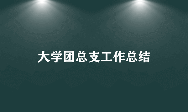 大学团总支工作总结