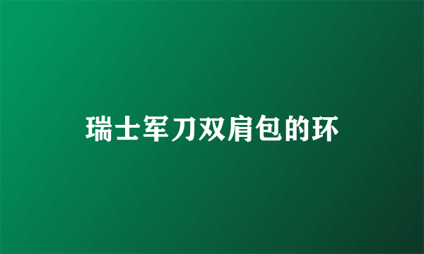 瑞士军刀双肩包的环