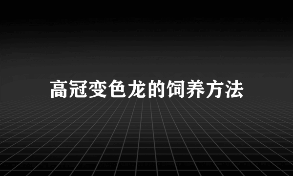 高冠变色龙的饲养方法