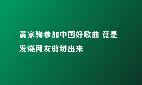 黄家驹参加中国好歌曲 竟是发烧网友剪切出来