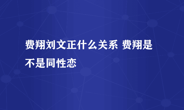 费翔刘文正什么关系 费翔是不是同性恋