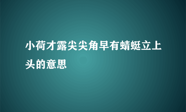 小荷才露尖尖角早有蜻蜓立上头的意思