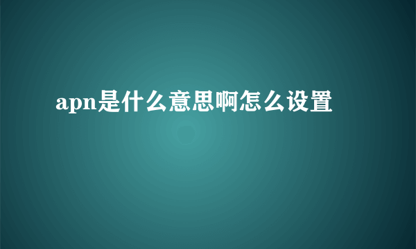 apn是什么意思啊怎么设置