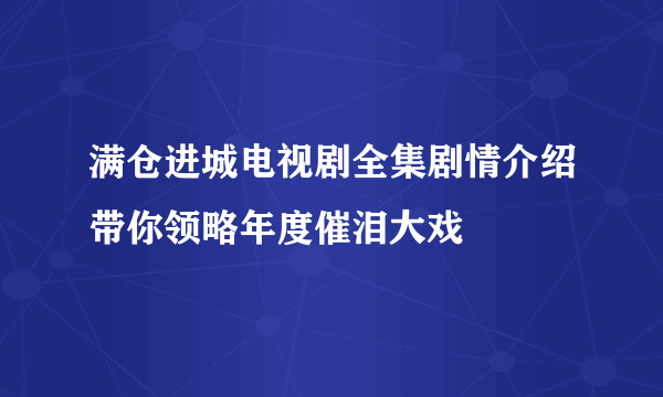 满仓进城电视剧全集剧情介绍带你领略年度催泪大戏