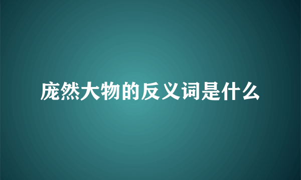 庞然大物的反义词是什么