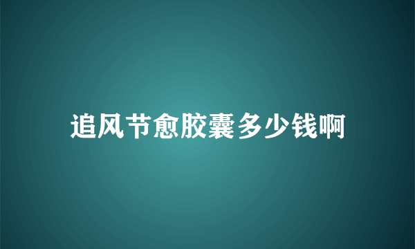 追风节愈胶囊多少钱啊