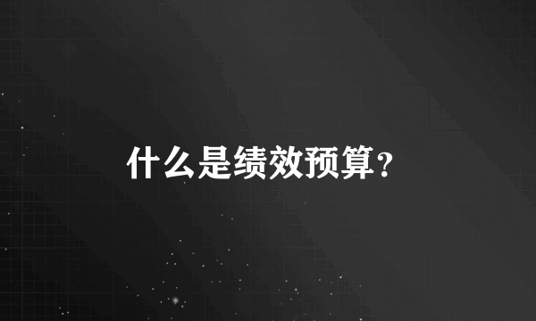 什么是绩效预算？