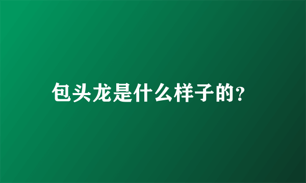 包头龙是什么样子的？