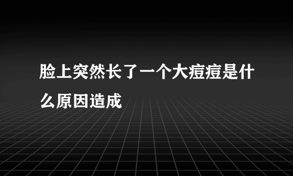 脸上突然长了一个大痘痘是什么原因造成